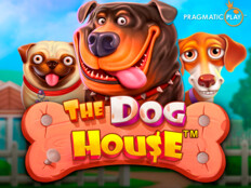 Çin aslanı köpeği yavru. Woo casino bonus codes.62